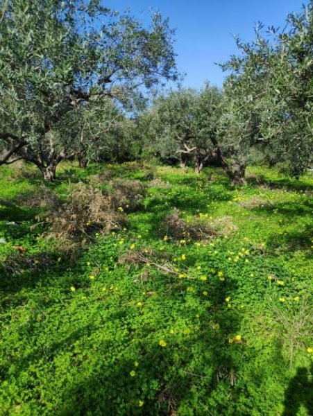 Milatos Kreta, Milatos: Baugrundstück in der Nähe des Hafens zu verkaufen Grundstück kaufen